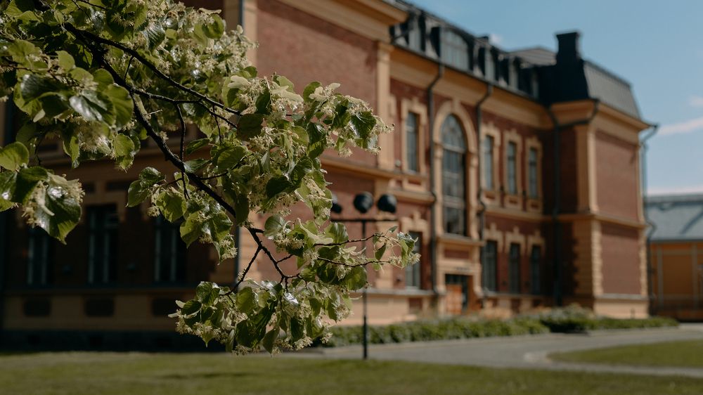 Photograph by Ася Легконогова