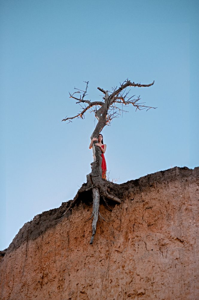 Одинокое дерево