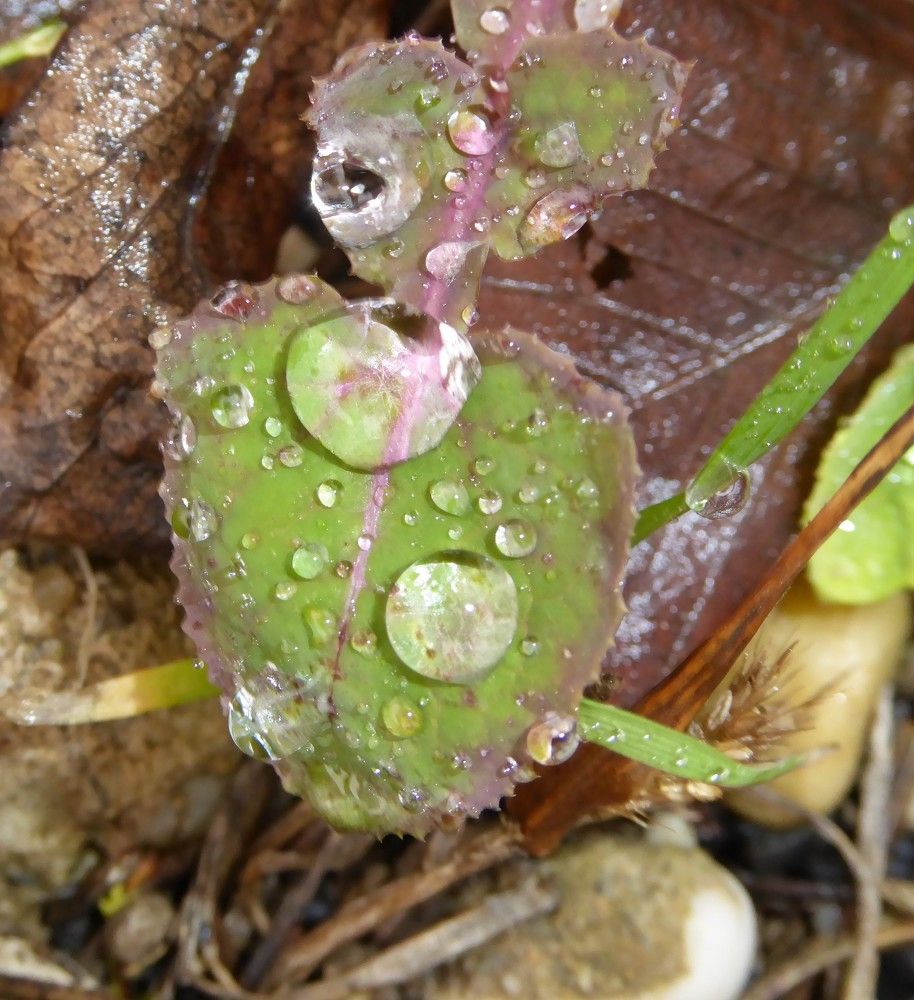 Photograph by Anna Szakacs