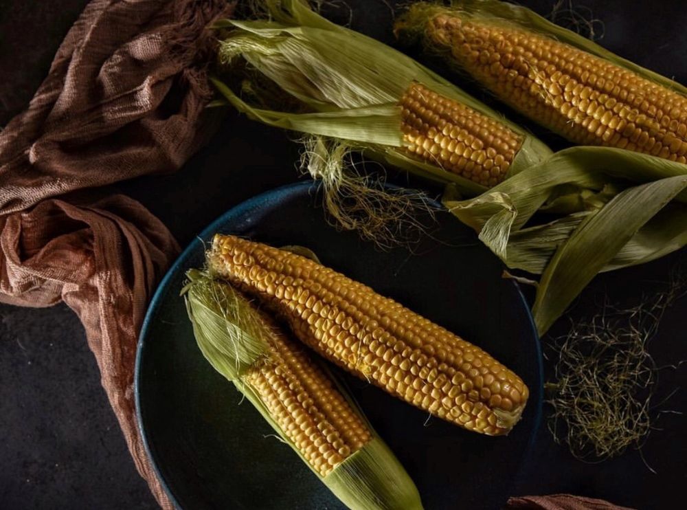 Photograph by Fereshte Abdolahimehr