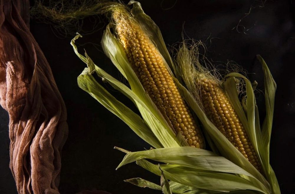 Photograph by Fereshte Abdolahimehr