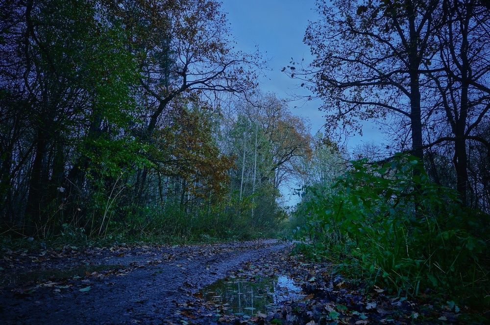 Photograph by Владимир Шатов