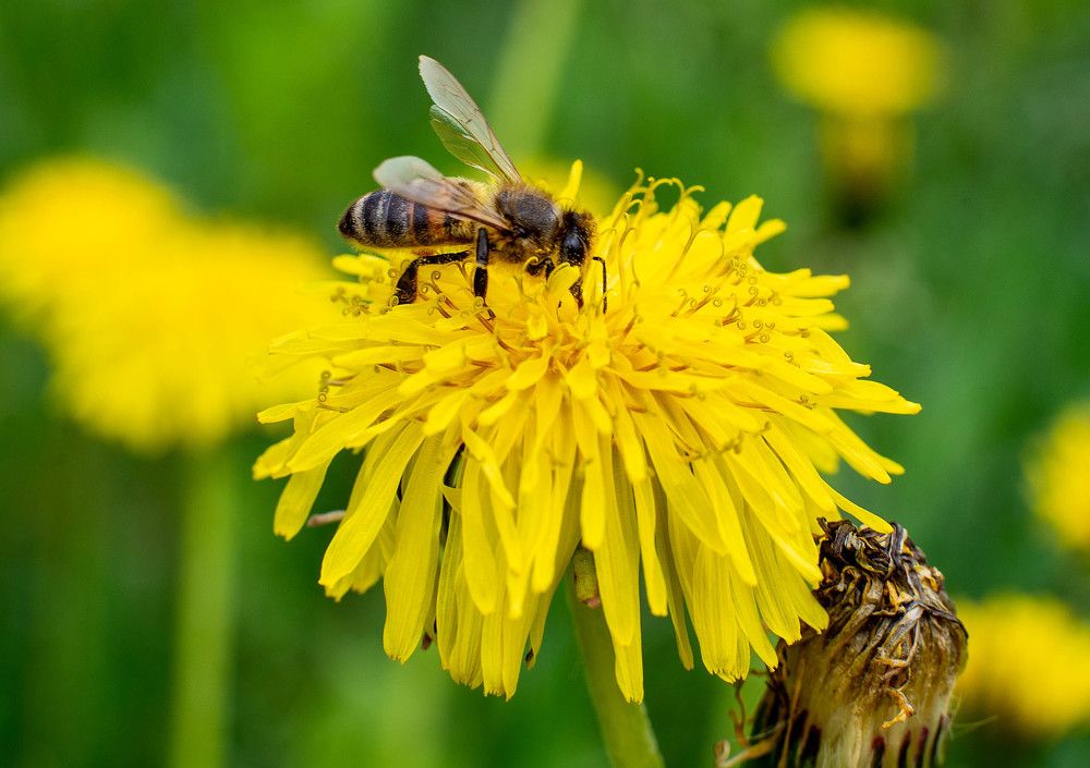 Фотография автора Владимир Оликов