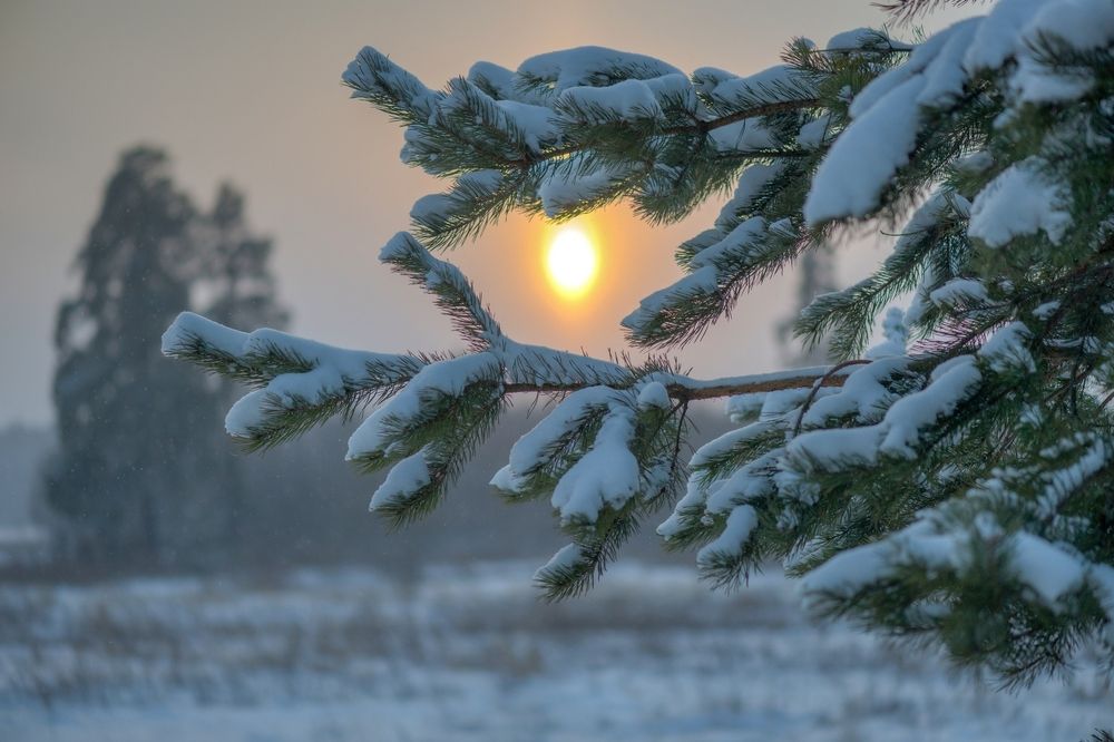 Photograph by Андрей Зуев