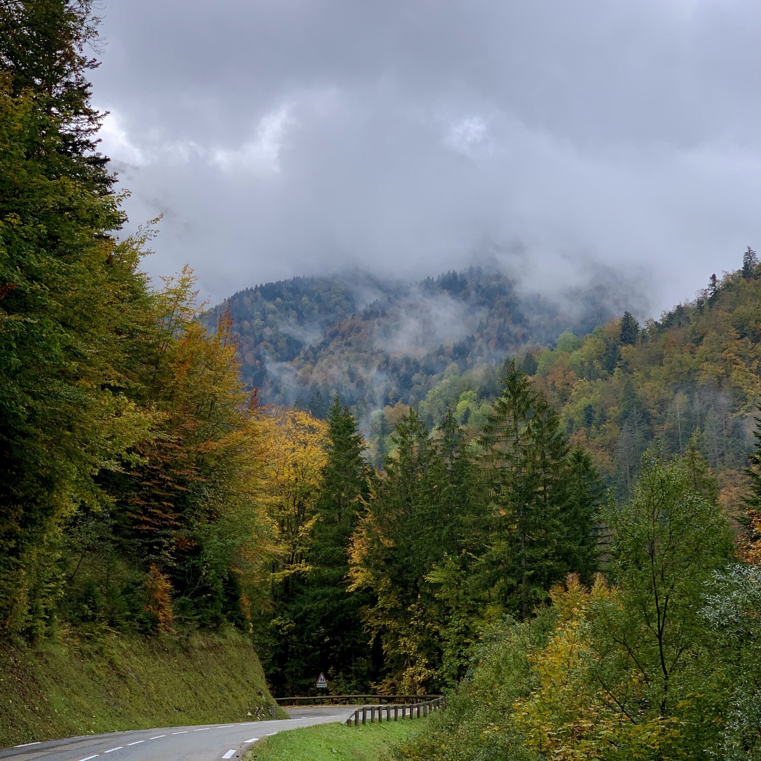 Photo #5681338