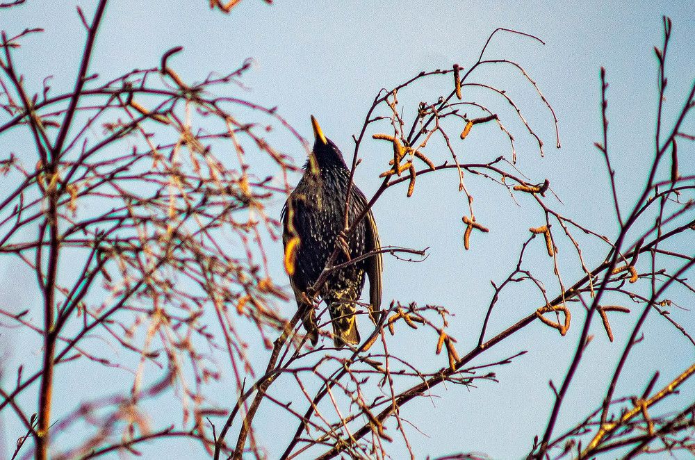 Фотография автора Владимир Оликов