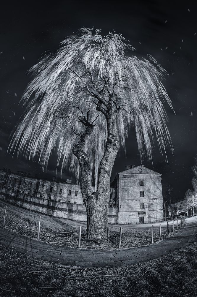 Photograph by Jan Suchodolski