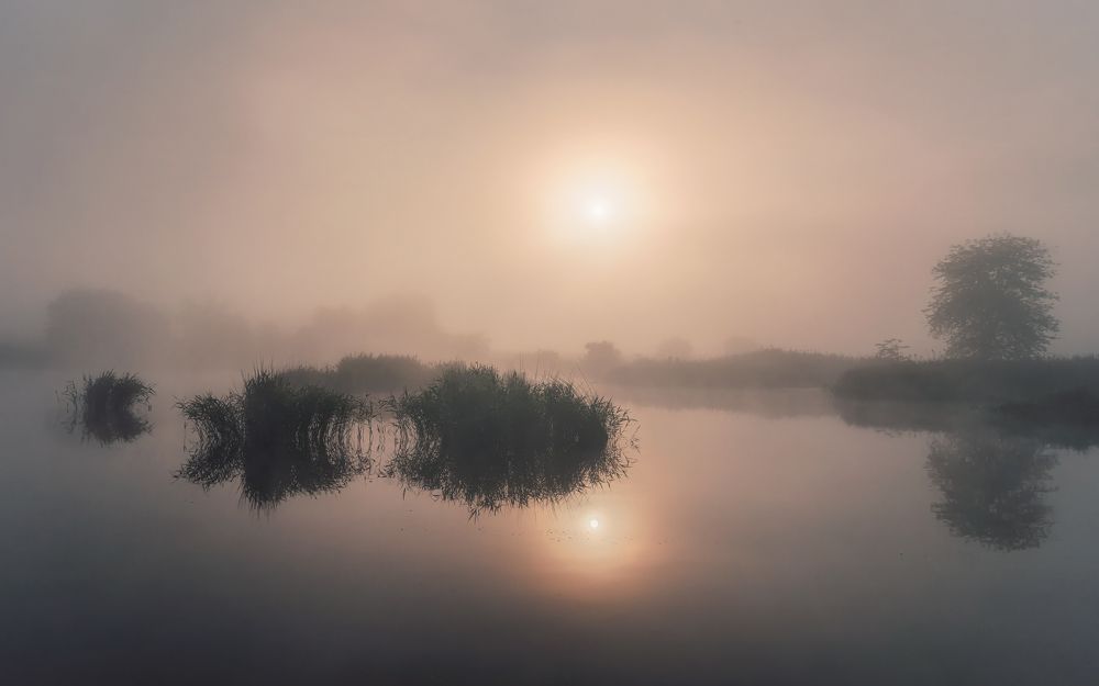 Утренняя феерия...