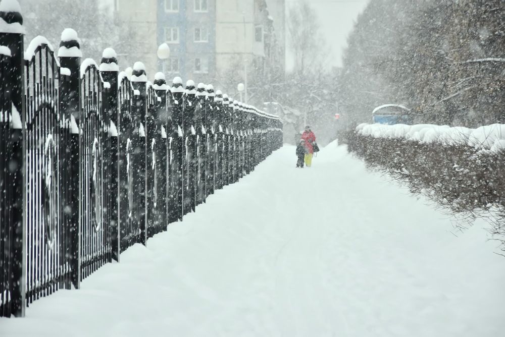 Photograph by НИНА АВЕРЬЯНОВА