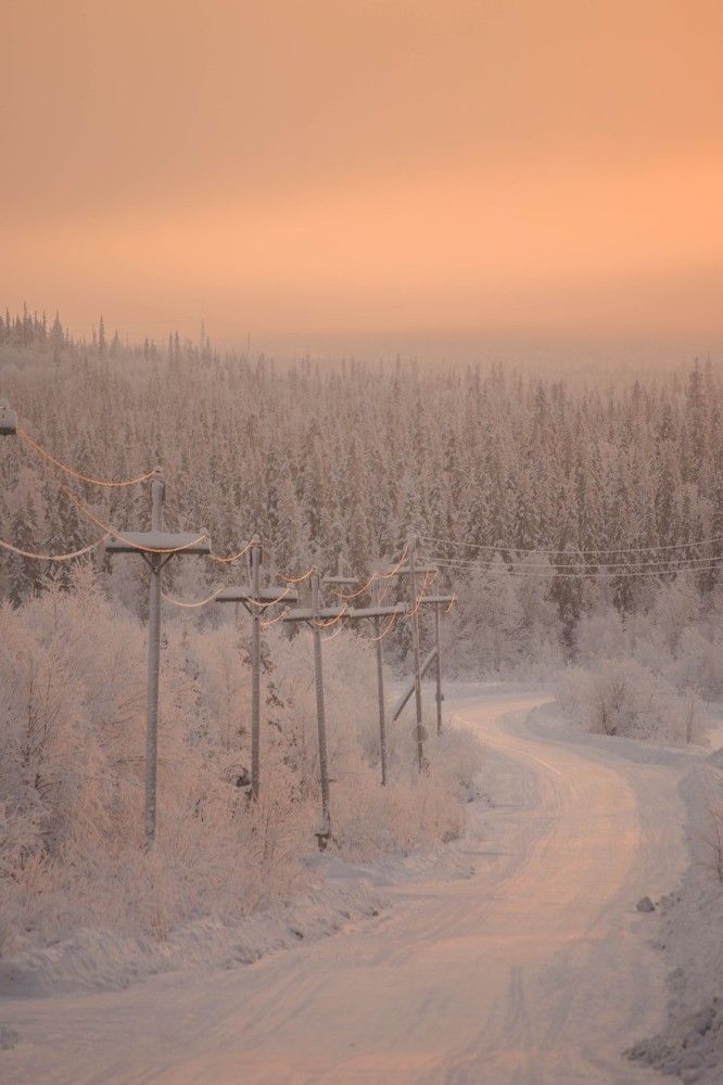 Photograph by Ксения Рябухина