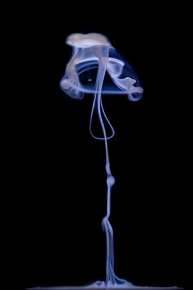 Photograph by Ольга Колобова