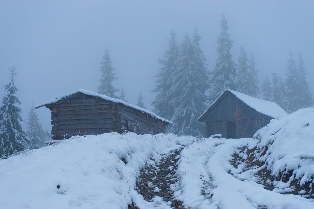 В ледяном тумане ..