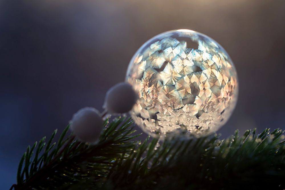 Photograph by Ольга Колобова