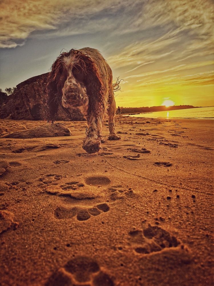 Photograph by Jason Walters