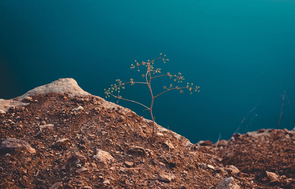 Photograph by Илья Десна