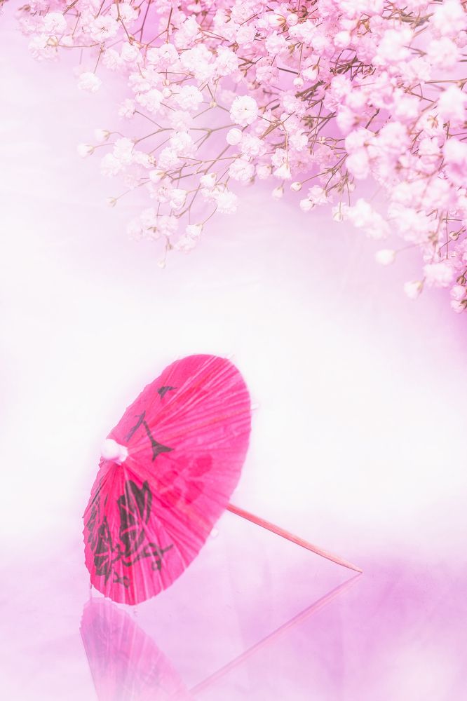 Photograph by Алексей Худяков