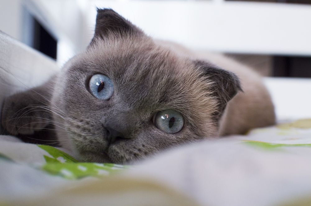 Фотография автора Наталия Шарова