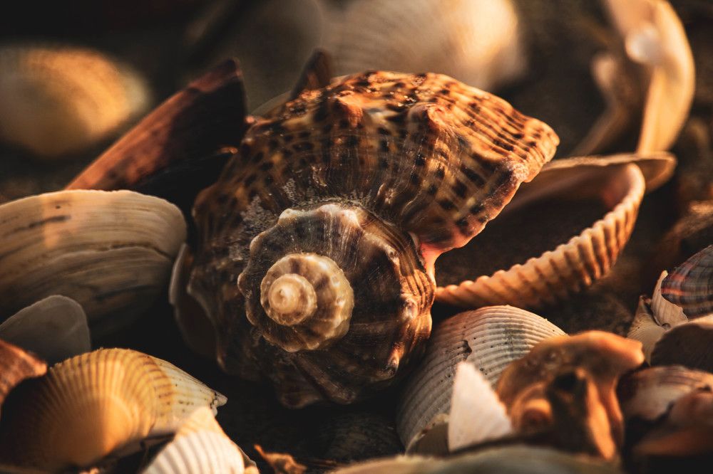 Unseen face at the beach