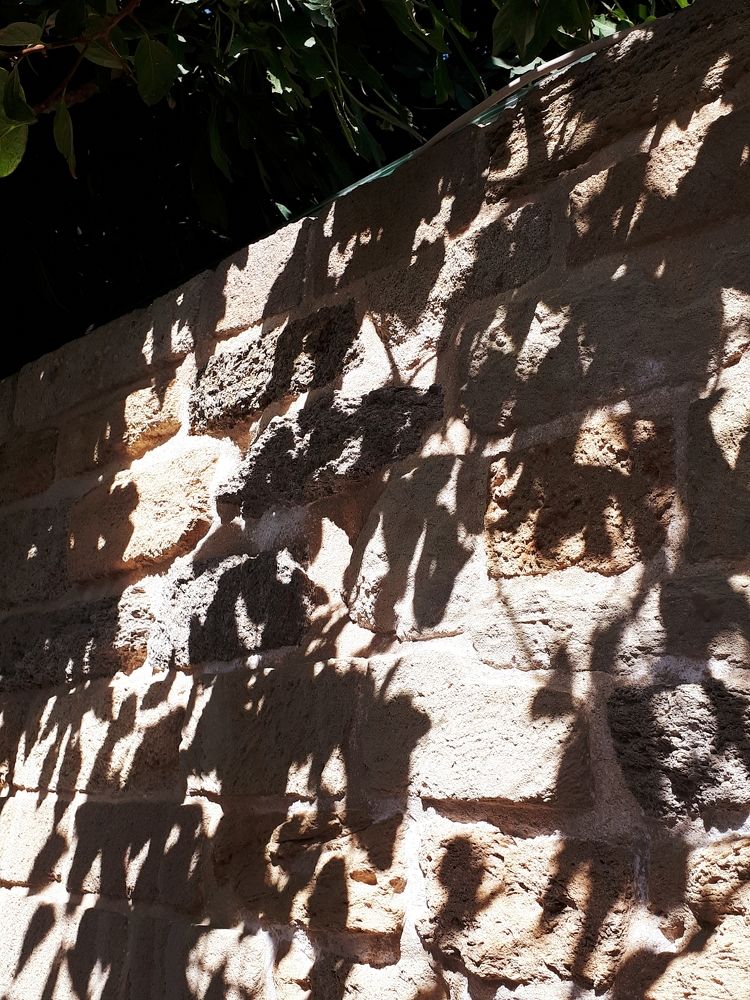 Photograph by Ulviyya Kamalzade