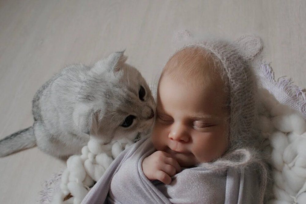 Анечка и ТЕО