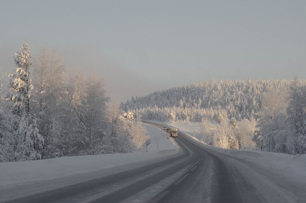 Photograph by Ксения Рябухина