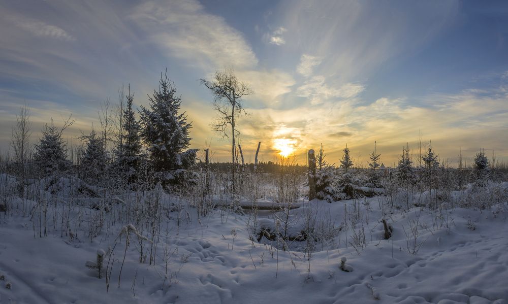 Photograph by Вячеслав Булатов