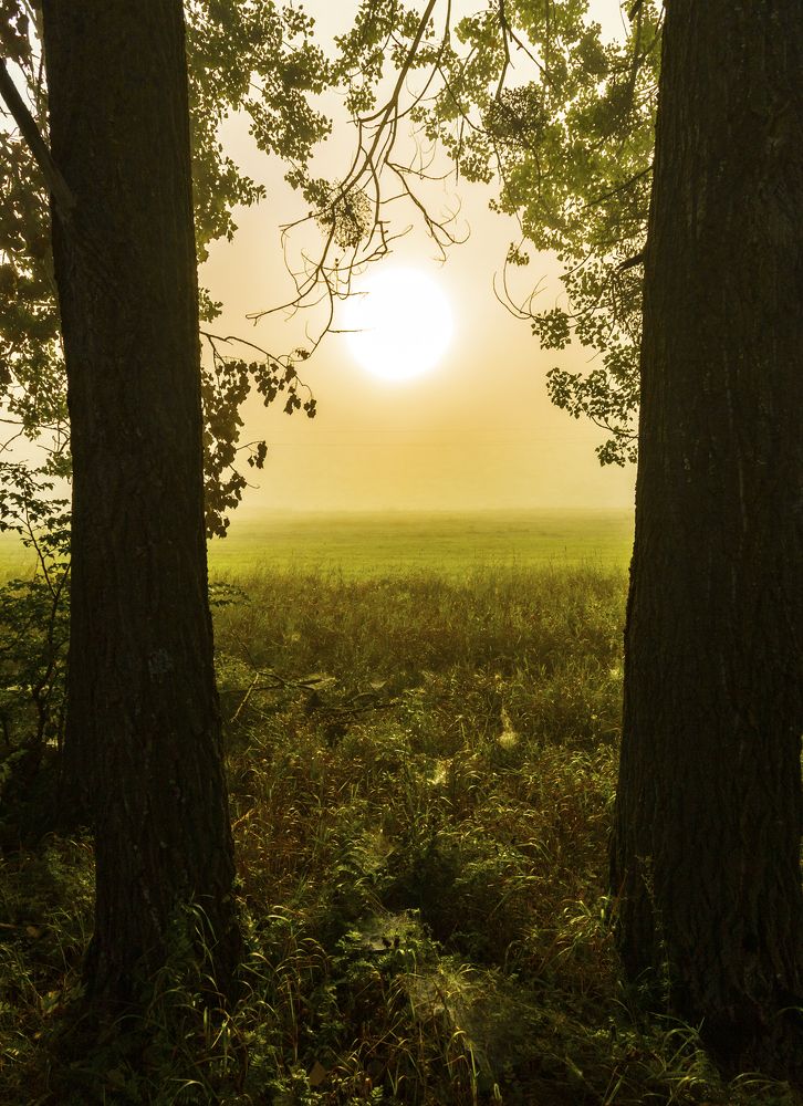 Photograph by Alex Kalpus