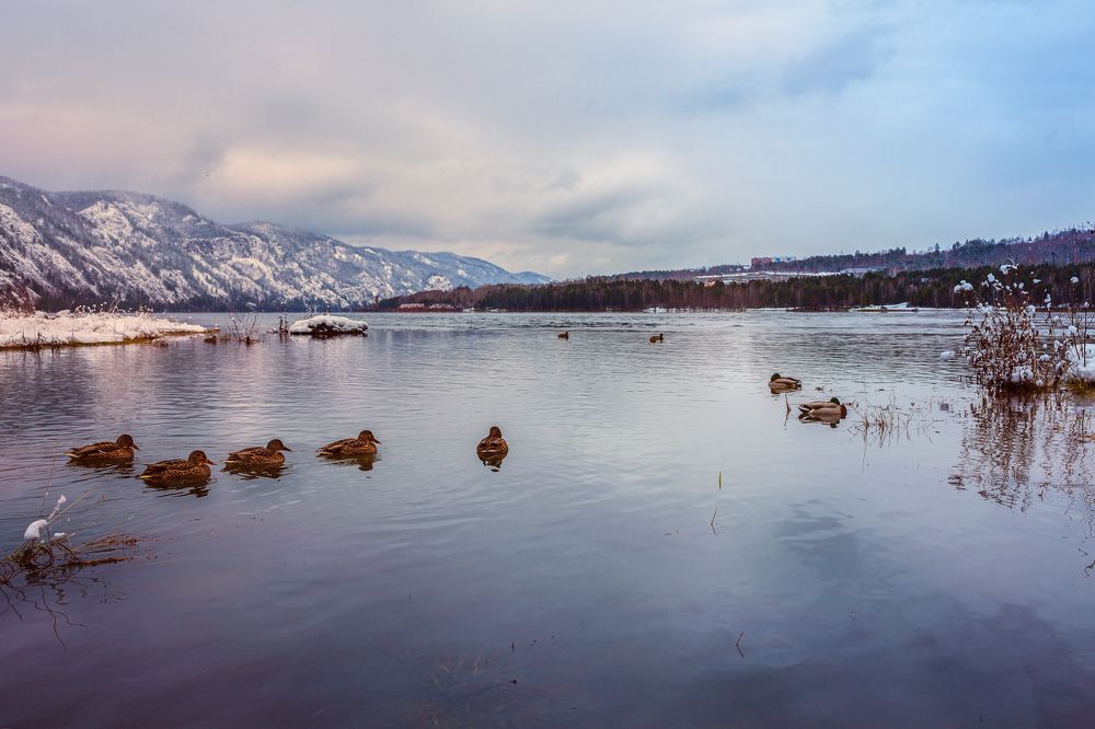 Перед закатом