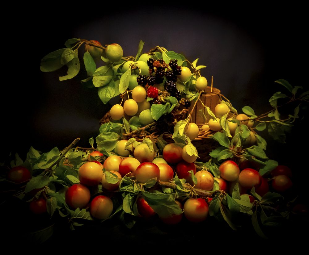 Photograph by Alex Kalpus