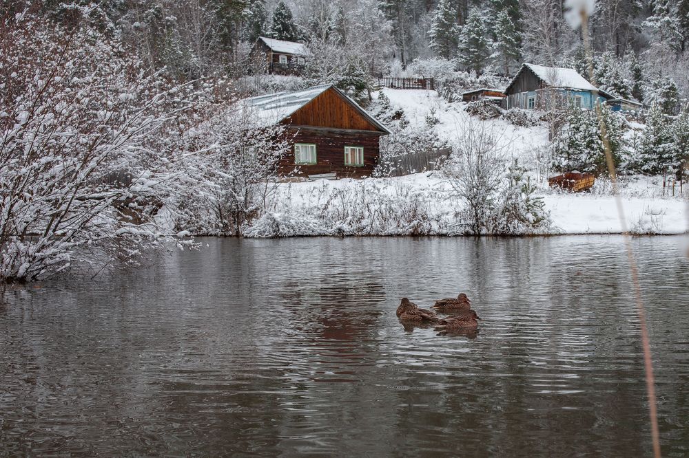 Деревушка на берегу Енисея