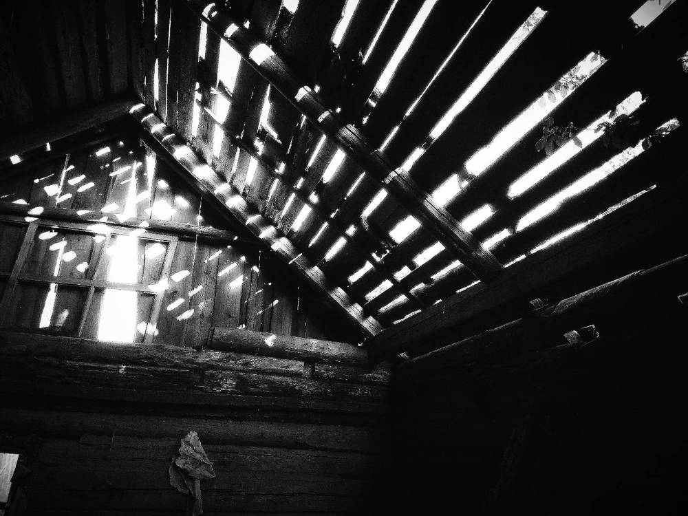 Photograph by Александр Бородин