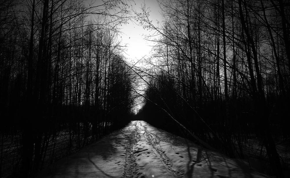 Photograph by Александр Бородин