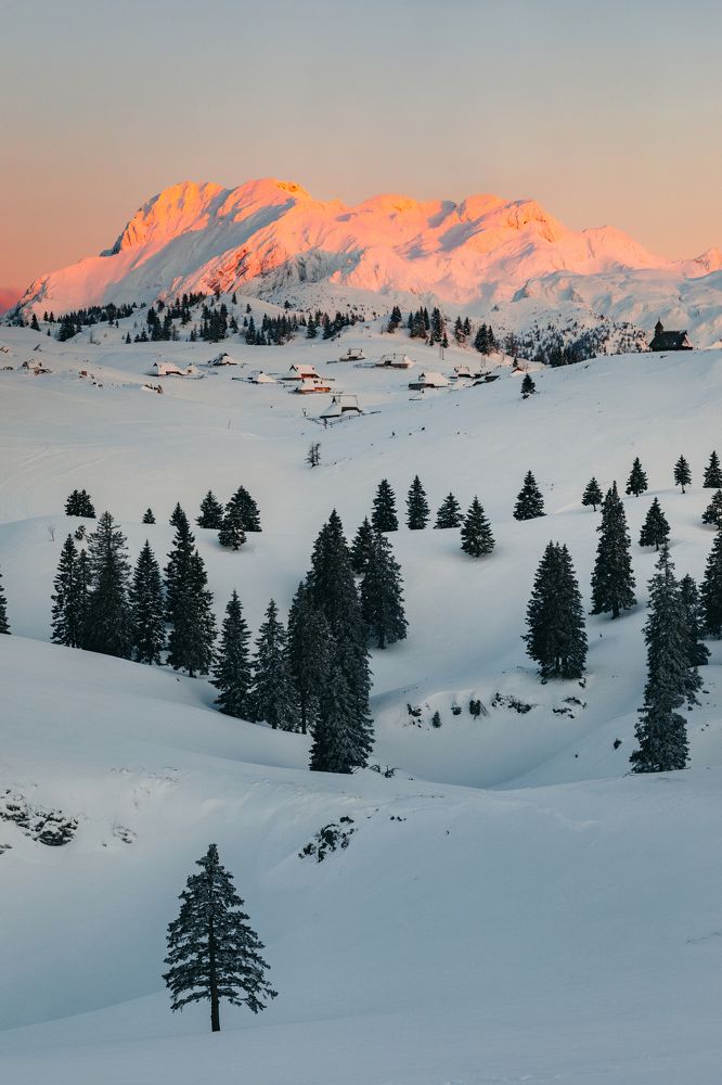 Photograph by Amadeja Knez