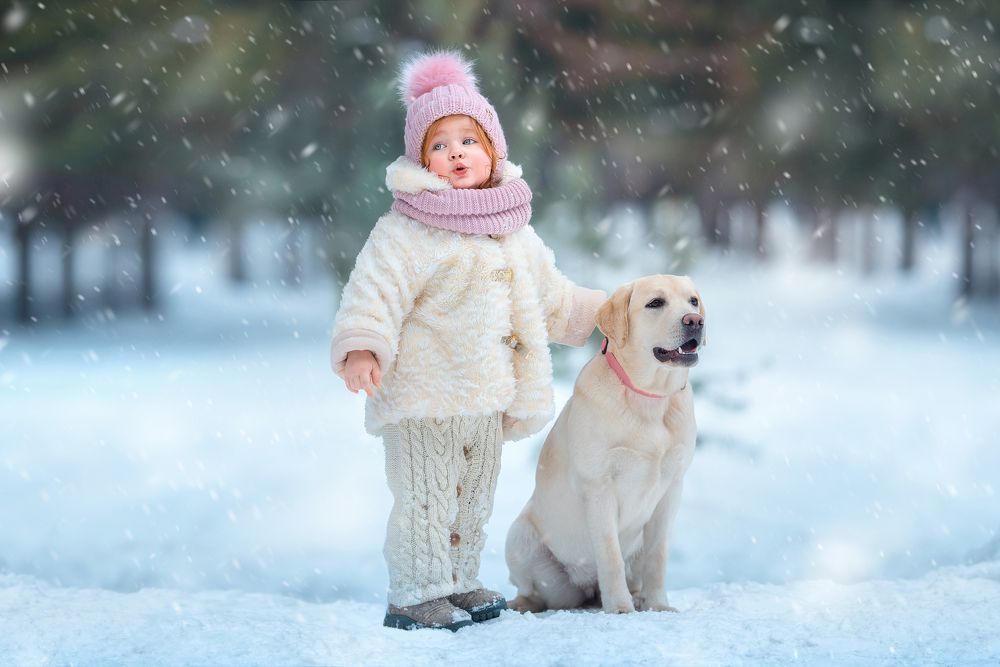 Photograph by Альфия Зотова