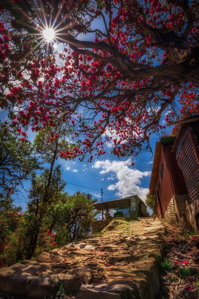 Photograph by CHAYAN CHATTERJEE