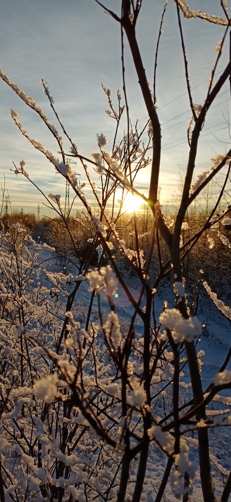 Photograph by Иван Соловьев