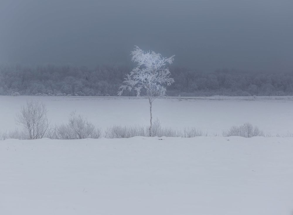 Photograph by Pavel Vaschenkov