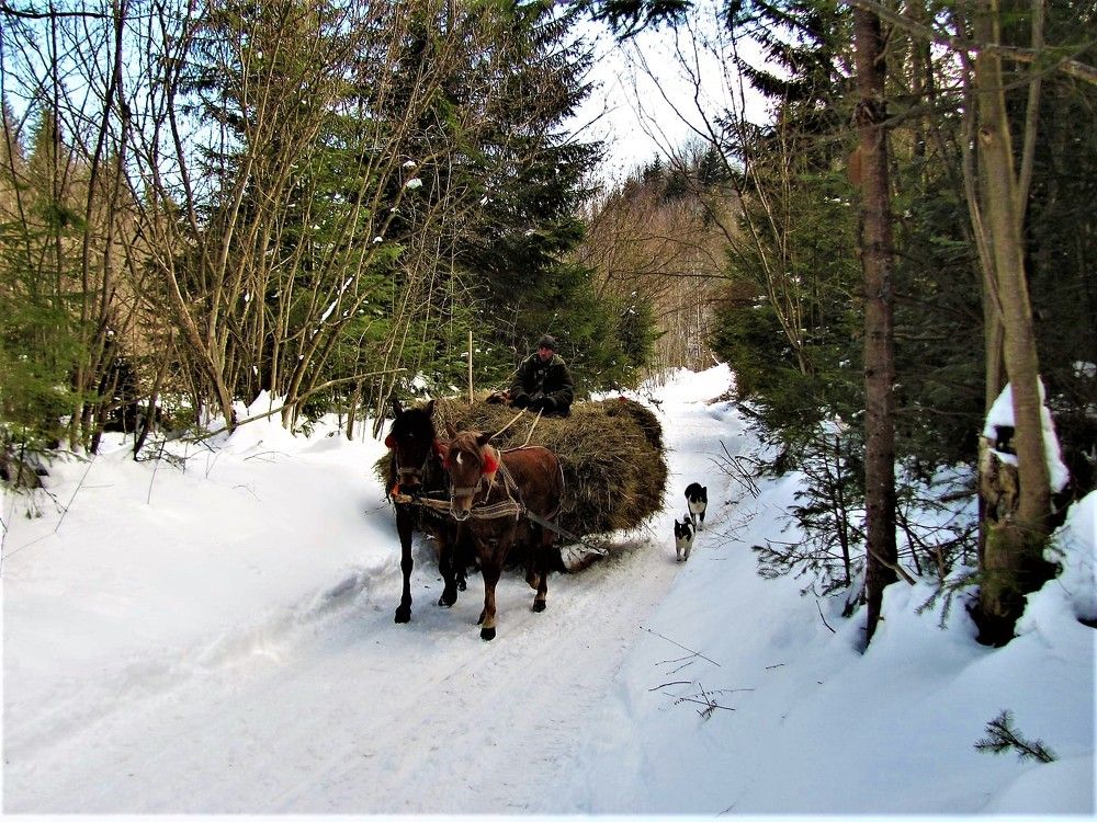 Photograph by TERESA Yurkevich