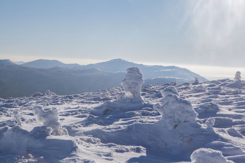 Photograph by Константин Каменев