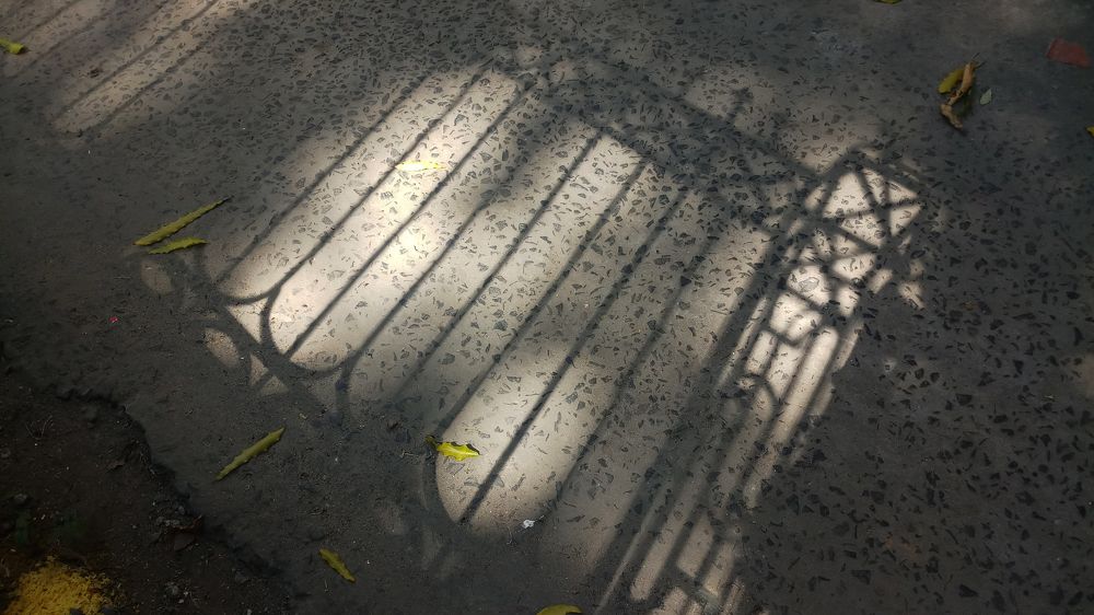Photo #5682313