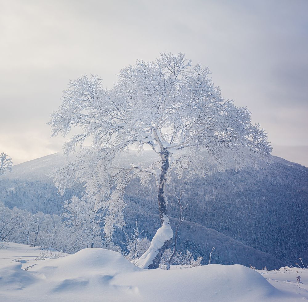 Photograph by Константин Каменев