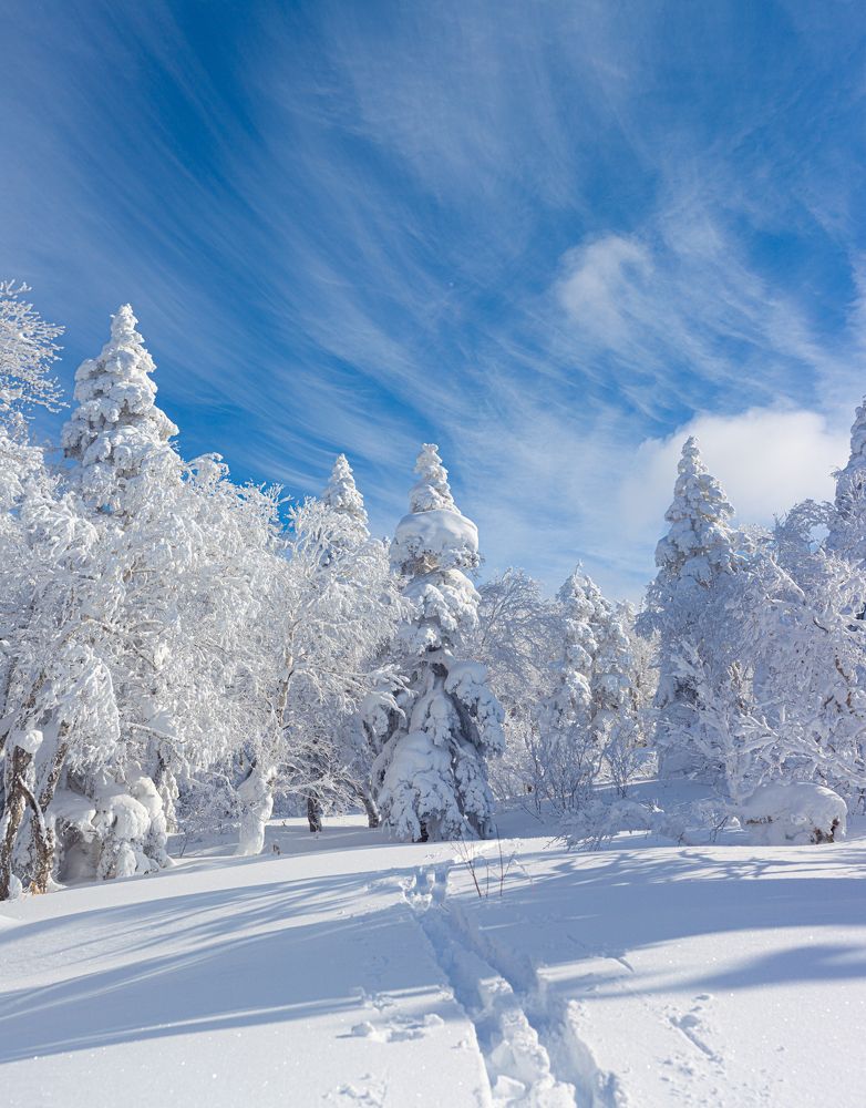 Photograph by Константин Каменев