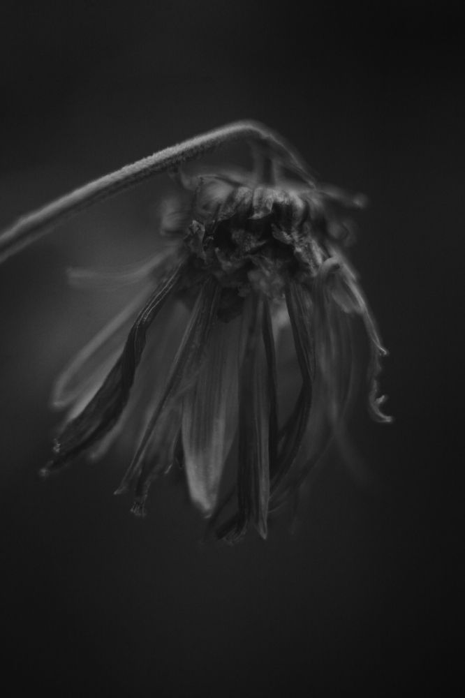 Photograph by Milla Luca