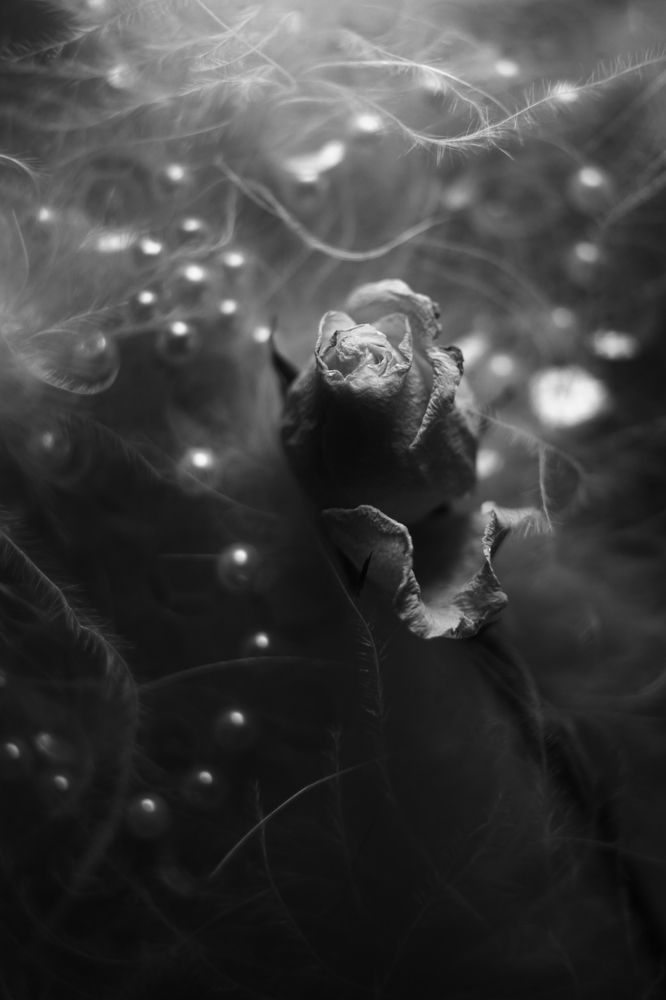 Photograph by Milla Luca