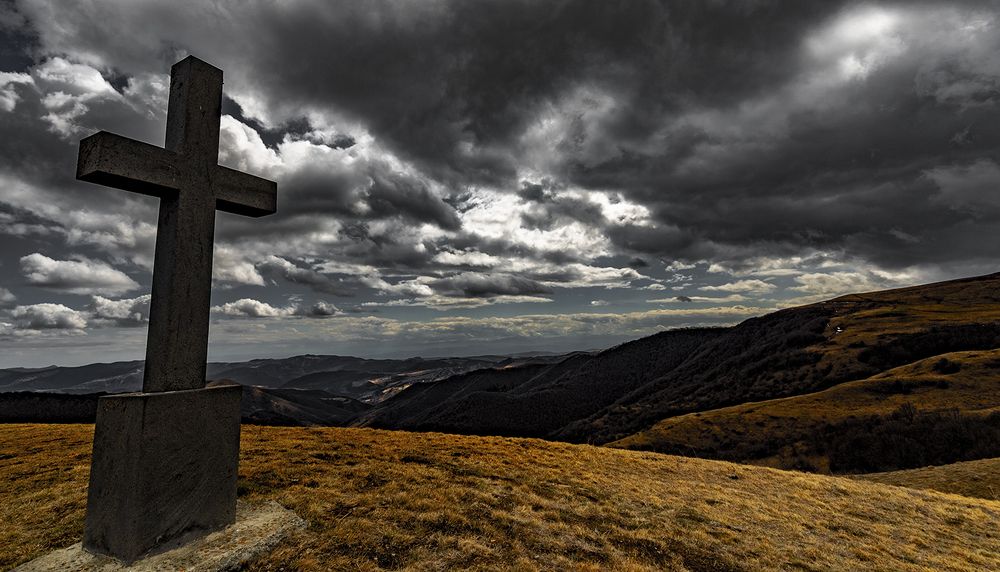 Photograph by Alex Kalpus