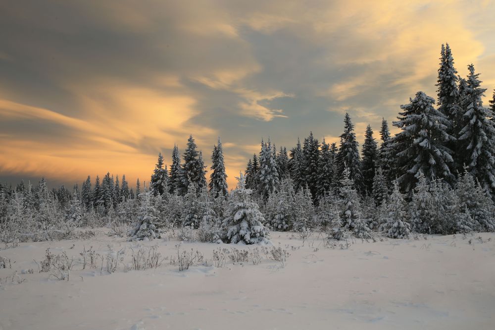 Фотография автора Юрий Кетель