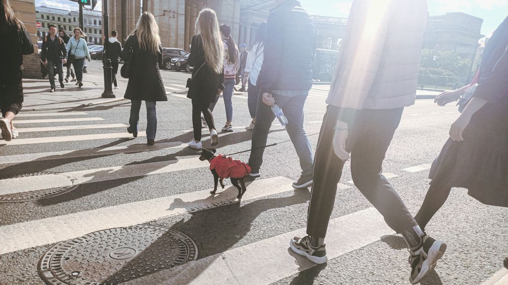 Фотография автора Степан Филев