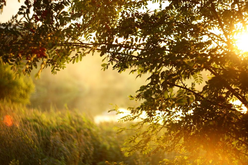 Photograph by Milla Luca