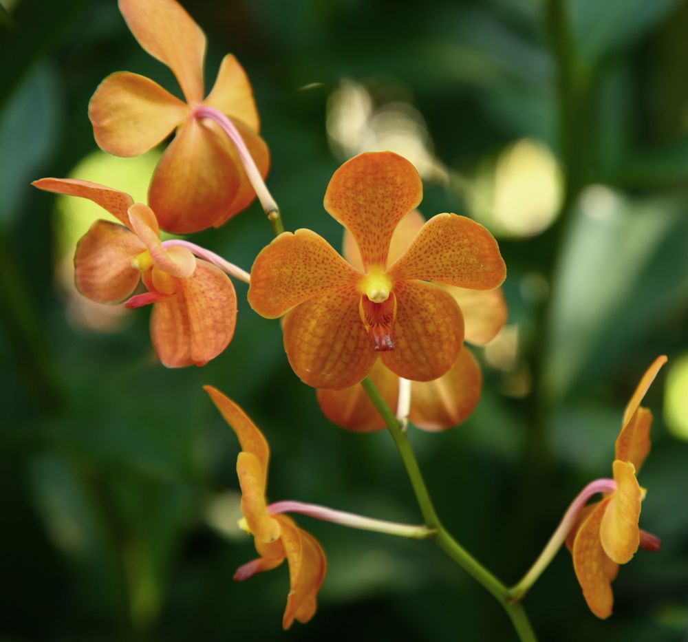 Photograph by Борис Лишневский