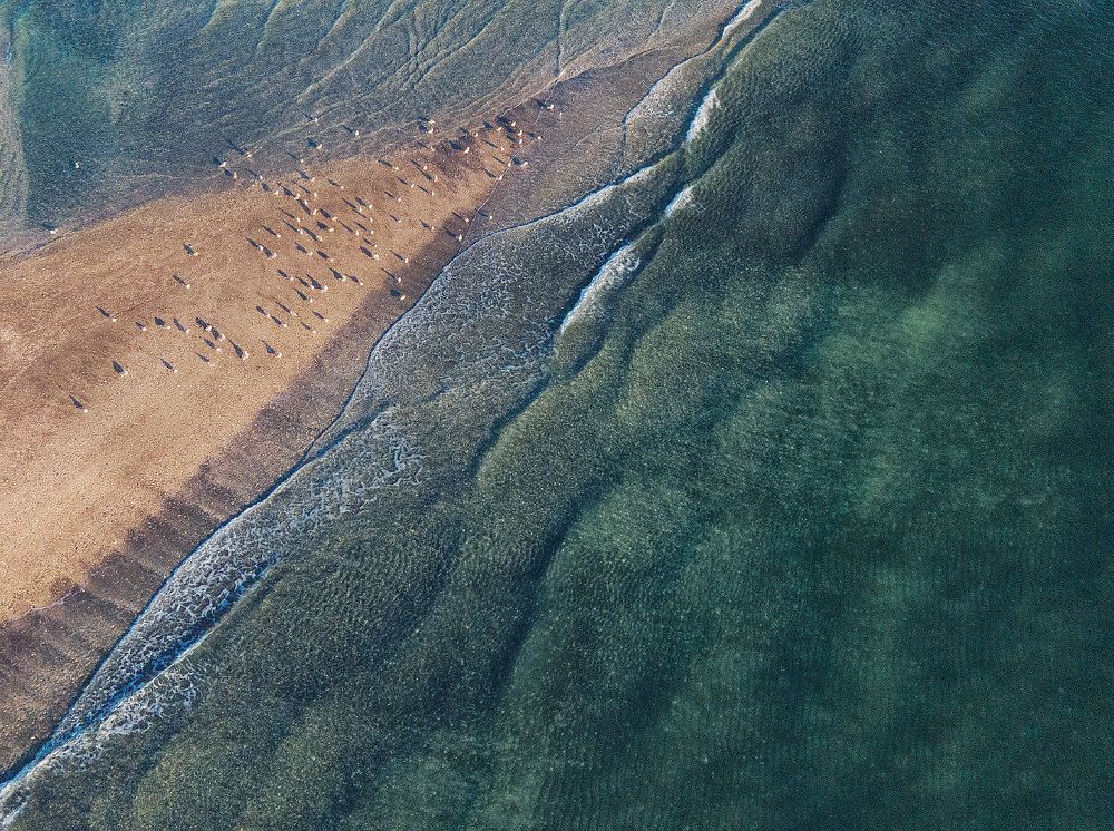 Photograph by Макухина Марина